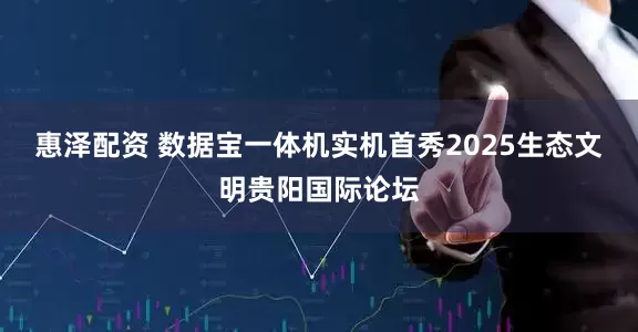 惠泽配资 数据宝一体机实机首秀2025生态文明贵阳国际论坛