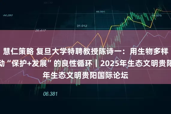 慧仁策略 复旦大学特聘教授陈诗一：用生物多样性金融推动“保护+发展”的良性循环｜2025年生态文明贵阳国际论坛